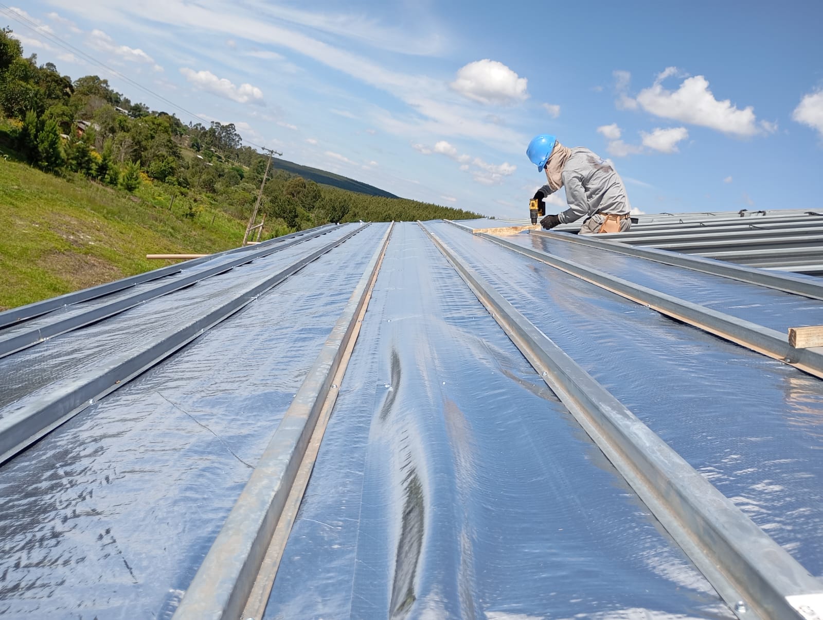 WhatsApp Image 2024-10-29 at 14.39.40.jpeg