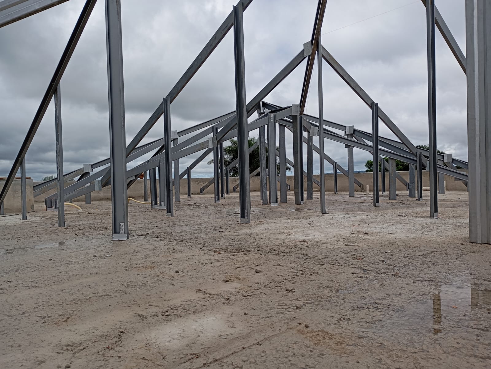 WhatsApp Image 2025-01-09 at 09.49.18.jpeg